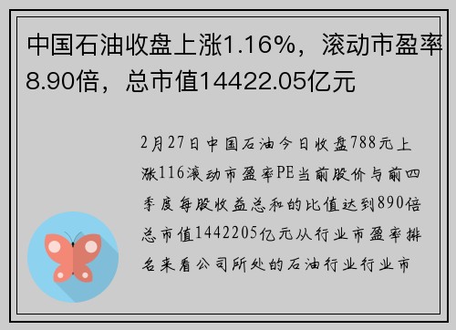 中国石油收盘上涨1.16%，滚动市盈率8.90倍，总市值14422.05亿元