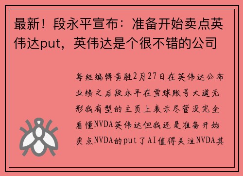 最新！段永平宣布：准备开始卖点英伟达put，英伟达是个很不错的公司