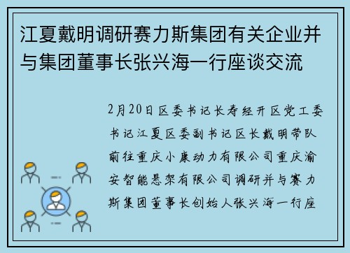 江夏戴明调研赛力斯集团有关企业并与集团董事长张兴海一行座谈交流