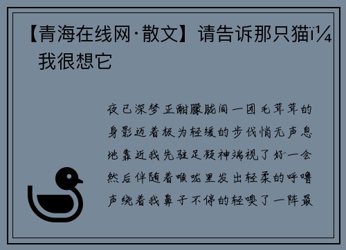 【青海在线网·散文】请告诉那只猫，我很想它