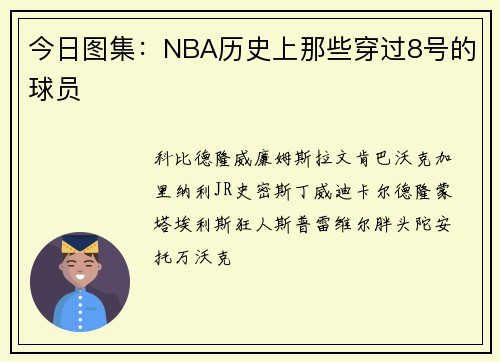 今日图集：NBA历史上那些穿过8号的球员