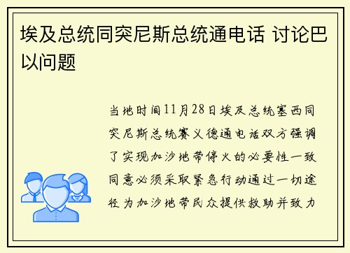 埃及总统同突尼斯总统通电话 讨论巴以问题